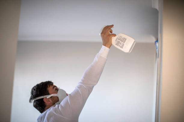 Best Mold Testing and Inspection Services in Bell Nyon, CA