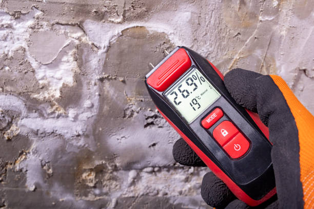 Best Industrial Mold Remediation in Bell Nyon, CA