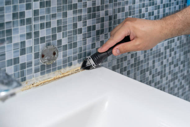 Best Insurance-Related Mold Remediation in Bell Nyon, CA